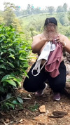 Pratinjau video
