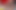 Stärkste session einer lesbe, die von ihren weißen latina-freundinnen gefistet wird