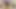 Lightskin Thot fickt sich albern mit einem großen schwarzen Dildo