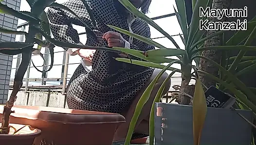 Saksı Bitkisine Idrar Yapmak