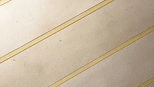 Трансляция началась