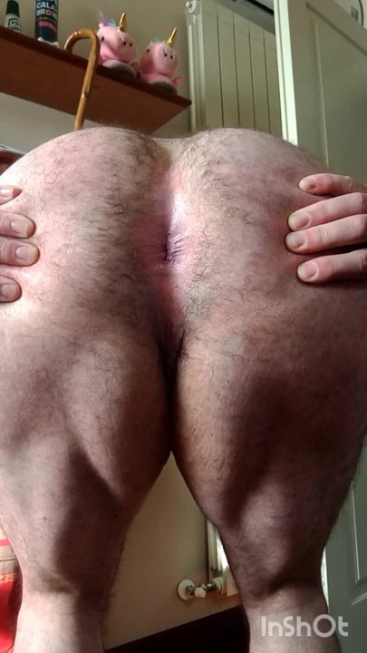 hamstrings and asshole