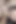 Bu muhteşem kelebeği cezalandırmak için çatal ve daha fazlasını kullanıyor