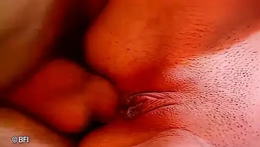 Anal sikiş dvd