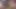 "After Washing Her Pussy in the Shower, My Desi Wife Came to the Bedroom, Spit on My Hard Cock and Slowly Started Stroking It Wi