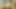 Ateşli seks videosu büyük boudi