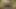 Anal komando asker hotkinkyjo ormanda mrhankey xxl dildo sikiyor ve anal sarkma