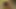 Amateur POV: Husband wanna see his wife having sex with another guy. #49-2