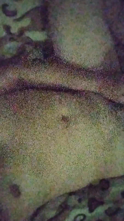 これを妻にTelegramで送っています。