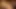 Tony duncan nikki sim anal club
