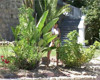 Pratinjau video
