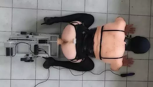 4 bacak antrenmanı