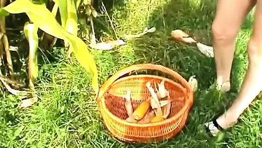 Massiver mais-schwanz, der klaffende muschi im freien weit offen dehnt