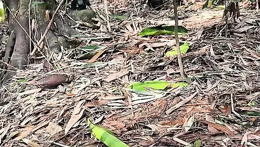 Bahçemin sessiz güzelliği