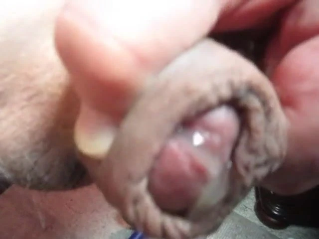 70 yrold Grandpa #205 uncut cum close mature stroke wank