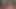 Cumming with cock plug in urethra and penis plug