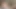 Alice ve Sabryna vahşi bir ts sikiş festivalinde selfie çekiyor, yarak emiyor ve birbirlerinin her yerine boşalıyor