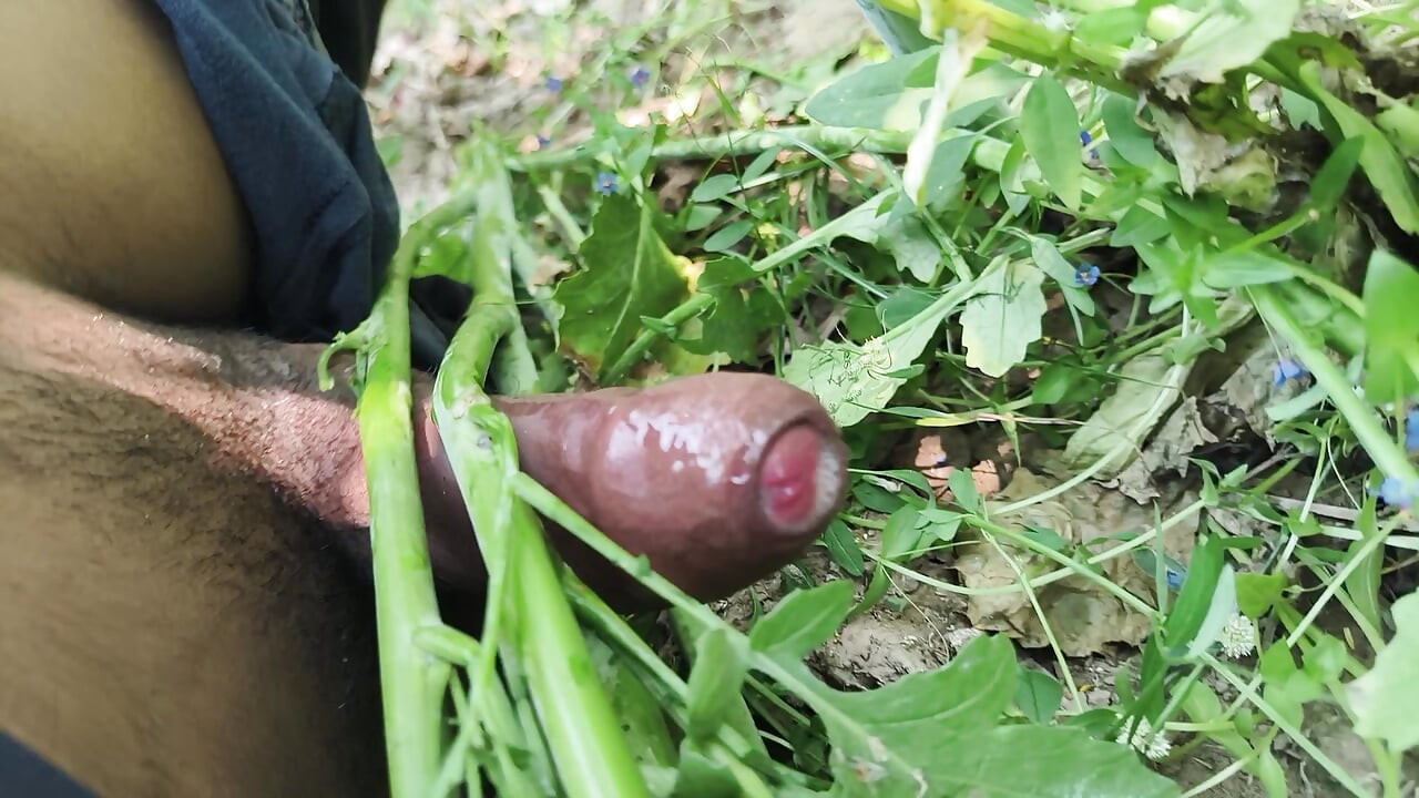 Desi village sarso ke khet me manoranjan