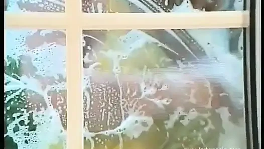 The Window Cleaner