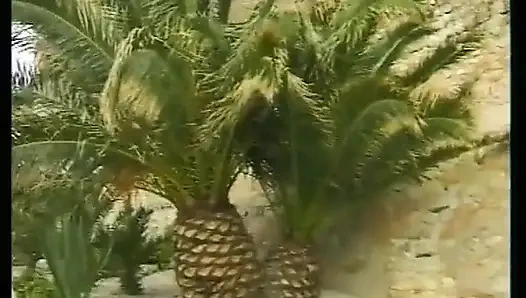 Два друга находятся в отпуске на Ибице и трахаются с горячими телочками.