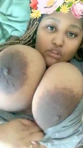 Holly Himalays