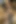 Bu porno videosunda adamdan daha iyi sikişen kim göster