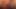 The Family and the Busty! (The unforgettable Porn Emotions in HD restyling version)