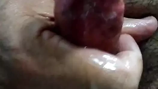 Leitinho sabah