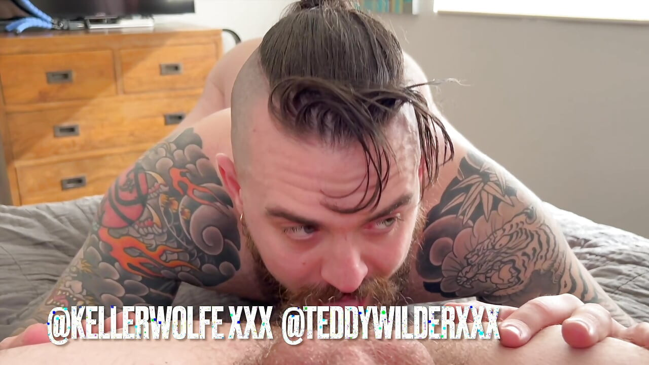 Teddy and the Wolfe