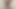 シャワーでおしっこ