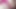Female Pussies Cum and Moan