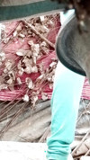 Pratinjau video