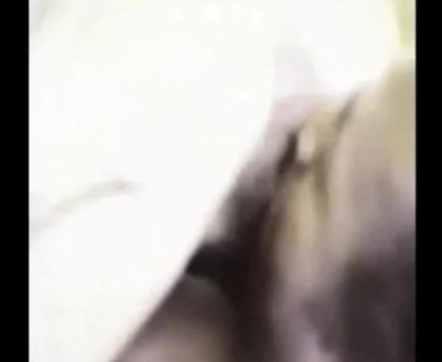Husband watches wife suck black cock