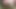 My compilation 2023 only Boobs (try not to cum)