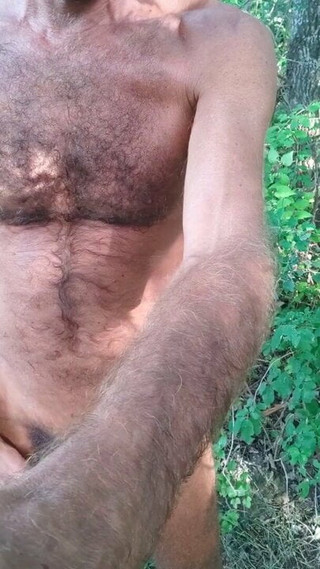 Cum in the Wood