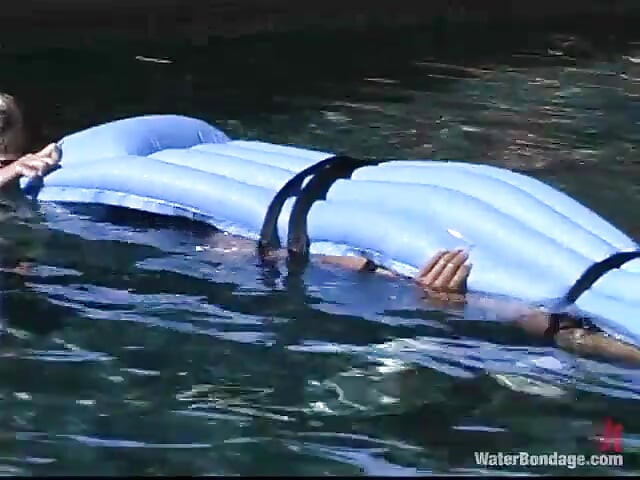 잠자리와 오드리 리