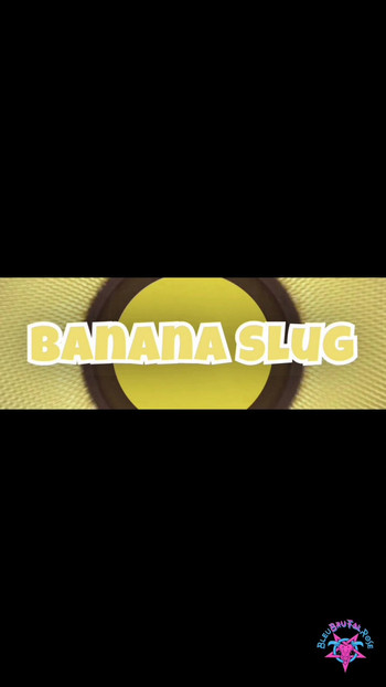 BANANA SLUG - WATCH THE FULL PORN CLIP ON MY PROFILE