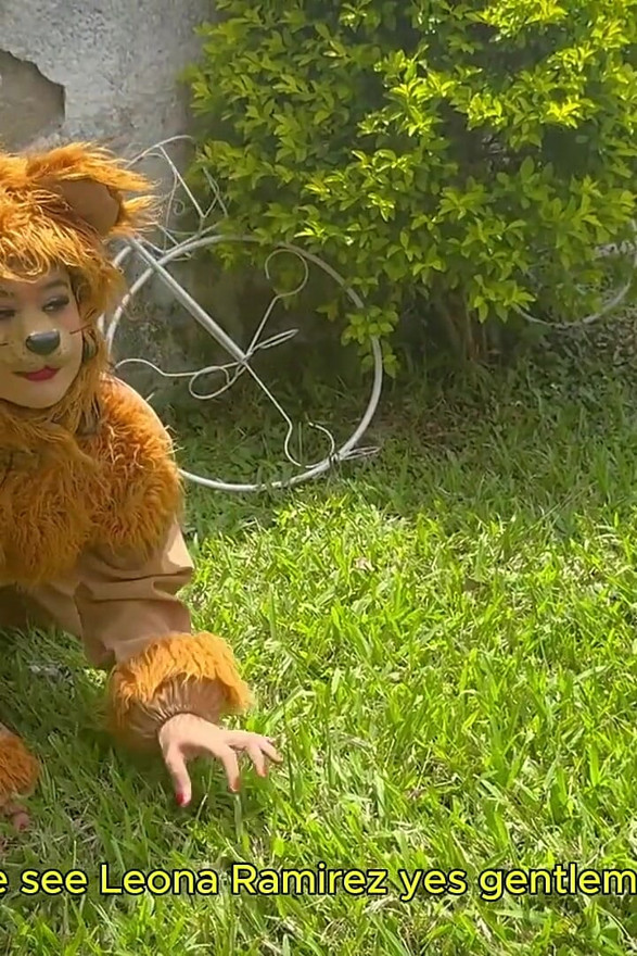 Natgio Mix Lion and Leopard Wild Sex Game