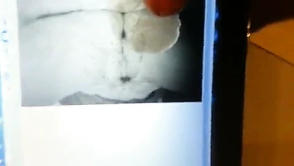 haraç