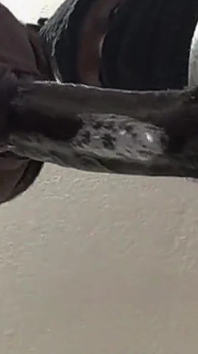 Sloppy Blowjob