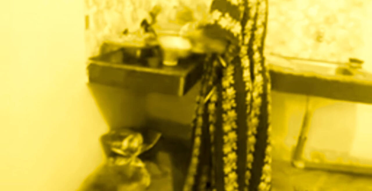 Busty MILF Desi Bhabi Has No Idea Her young Devar see Secretly in the kitchen room.