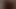My dick for you to see
