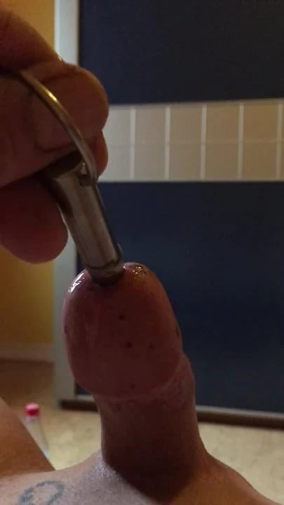 Penis Plugin