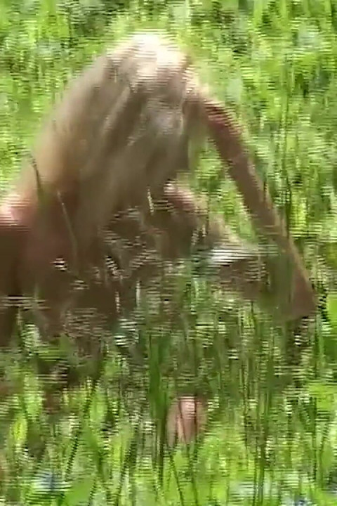 Cewek rambut pirang lagi asik fingering memeknya sampai dalam banget di hutan