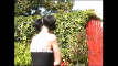 Pregled videozapisa