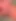 Tombul ayı dildo oyunu