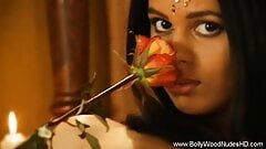 Erotyczna indyjska księżniczka różowa czerwień