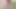 Interracial porn with Ivett King with dark hair gets her