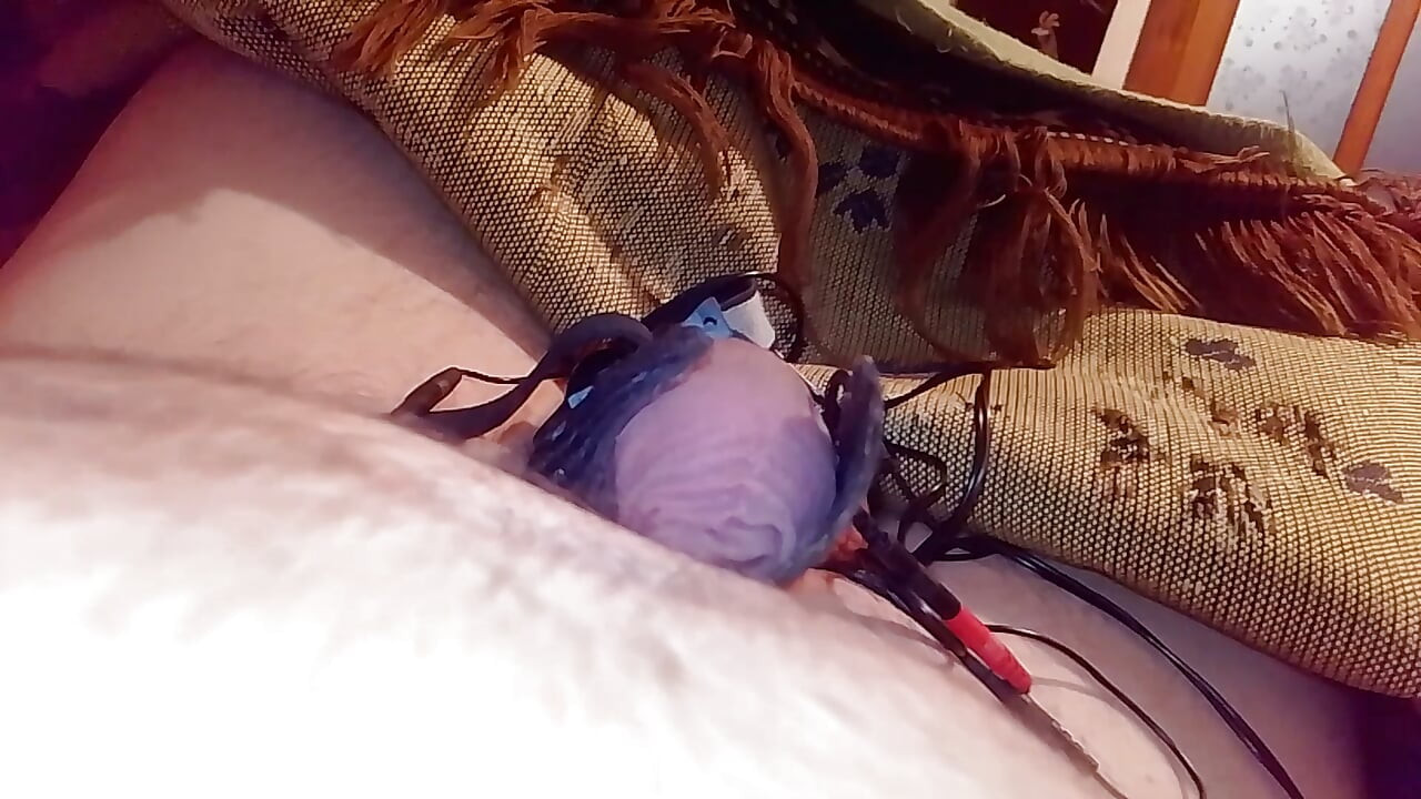 เซ็กส์ทอยที่ฉันชอบตลอดกาล เซ็กส์ทอยที่ยอดเยี่ยม ความคิดเห็นของคุณของเซ็กส์ทอยของกู