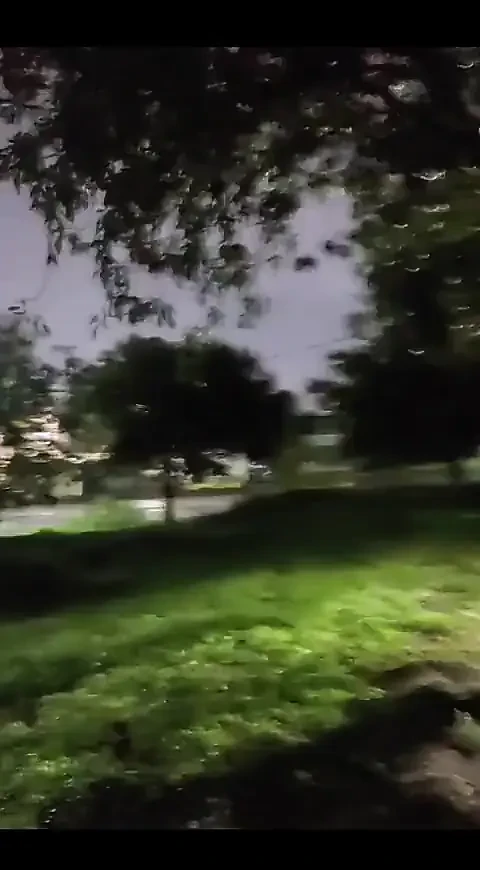 Jag gillar att spruta mjölk, stor kuk när jag går i den ensamma parken